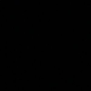 Meet your Posher, Elise